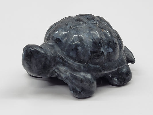 Turtle/Tortoise - Larvakite (M)