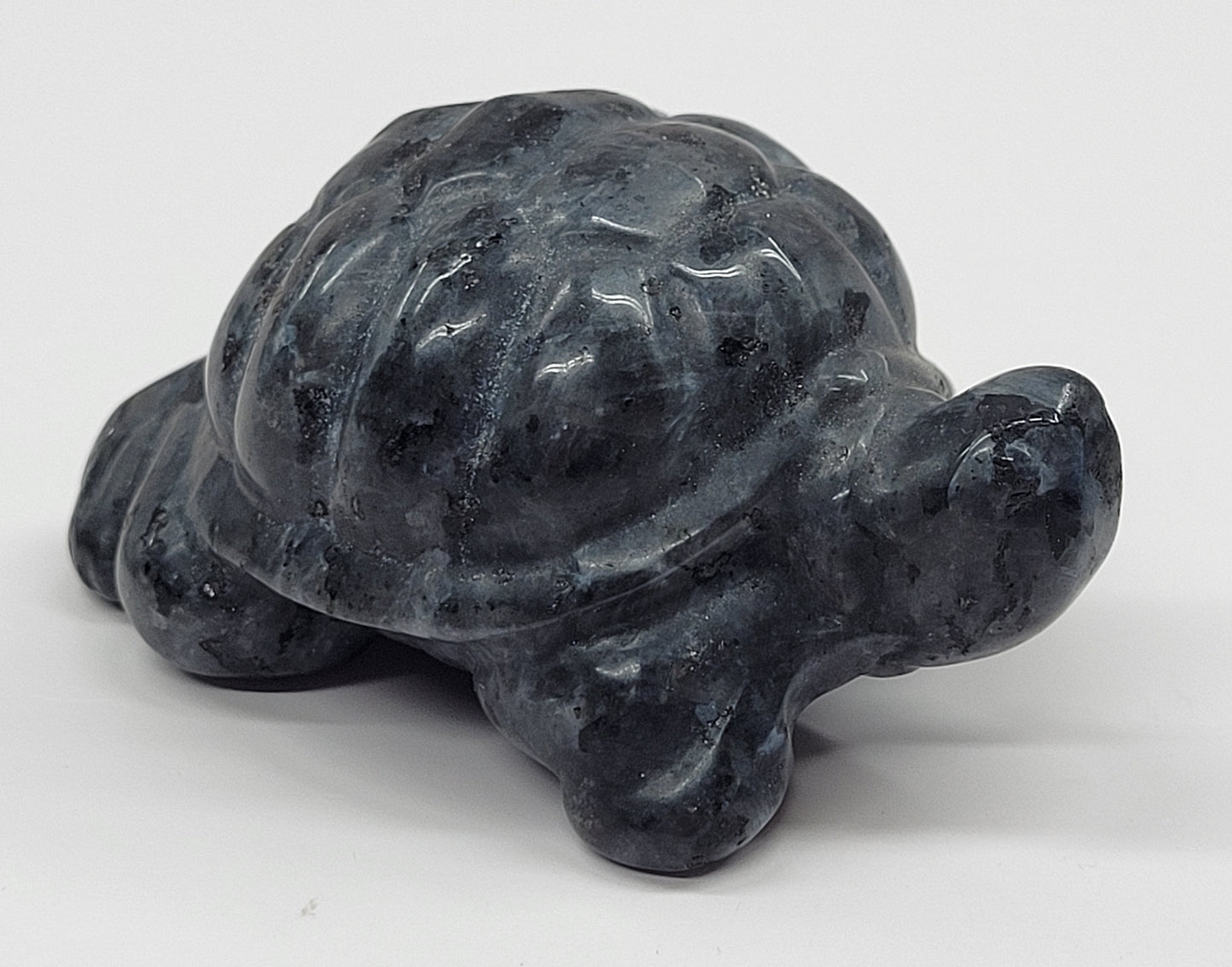 Turtle/Tortoise - Larvakite (M)