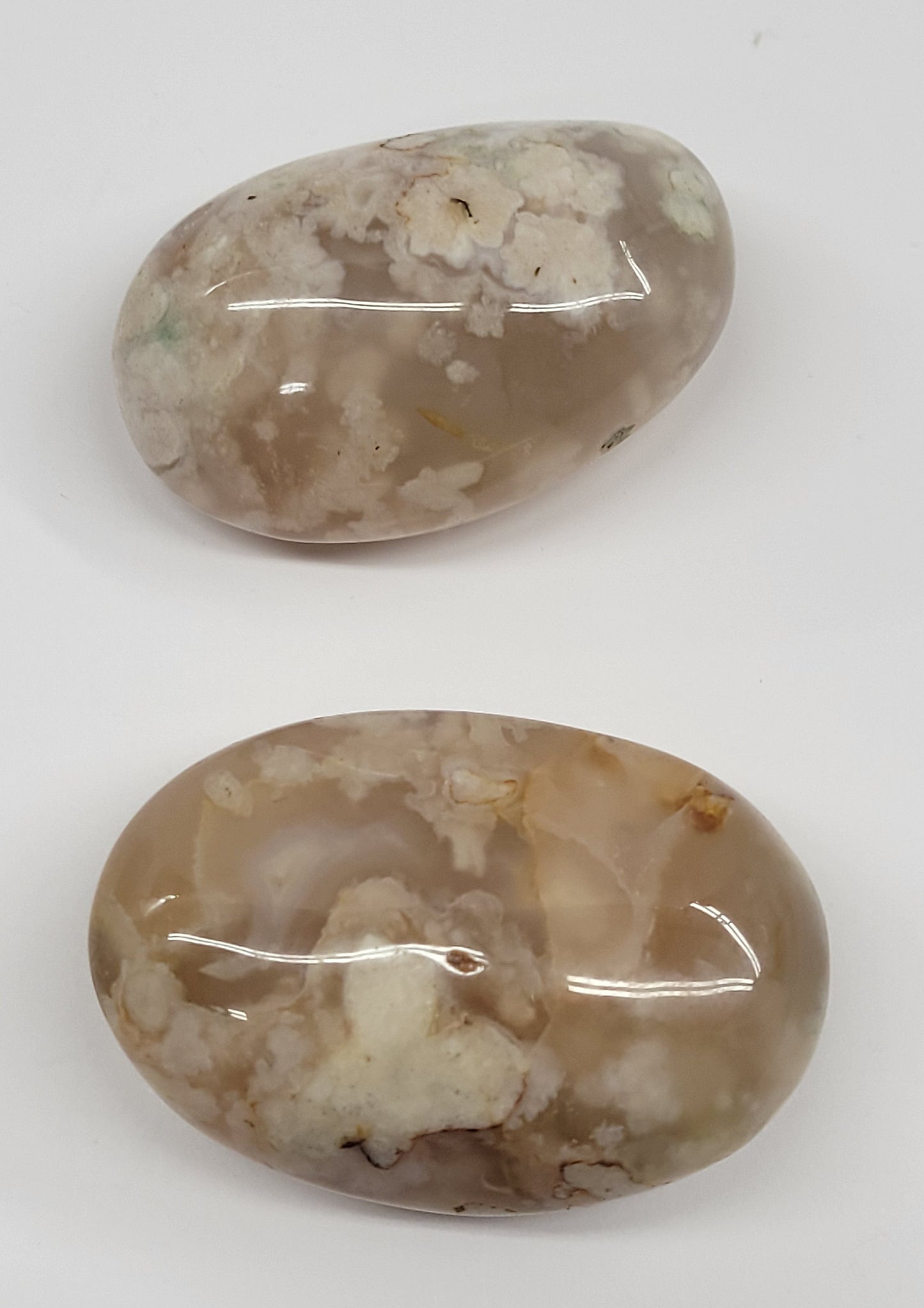 Palm - Flower Agate