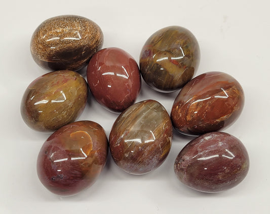 Petrified Wood egg