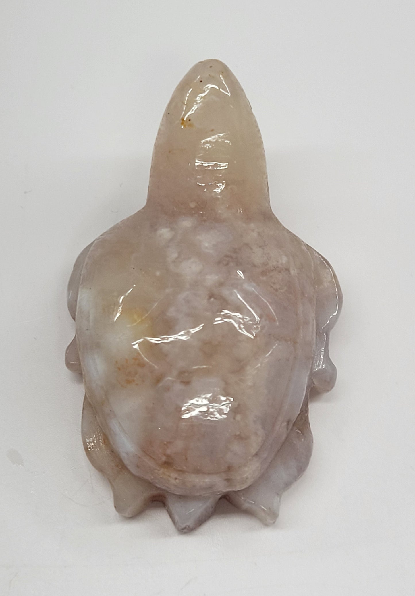 Turtle - various materials (medium)