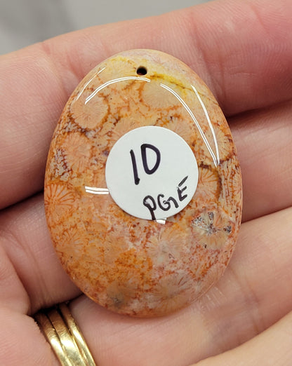 Fossil Coral Jasper pendant