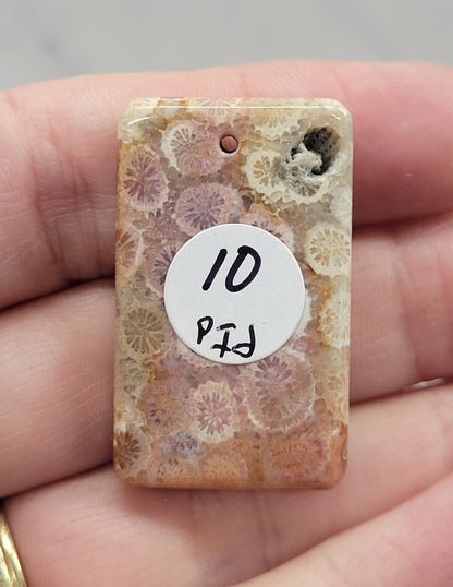 Fossil Coral Jasper pendant