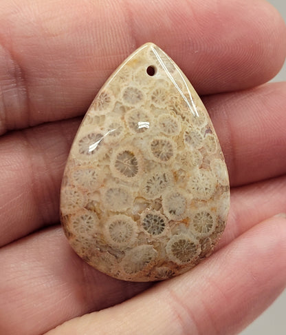 Fossil Coral Jasper pendant