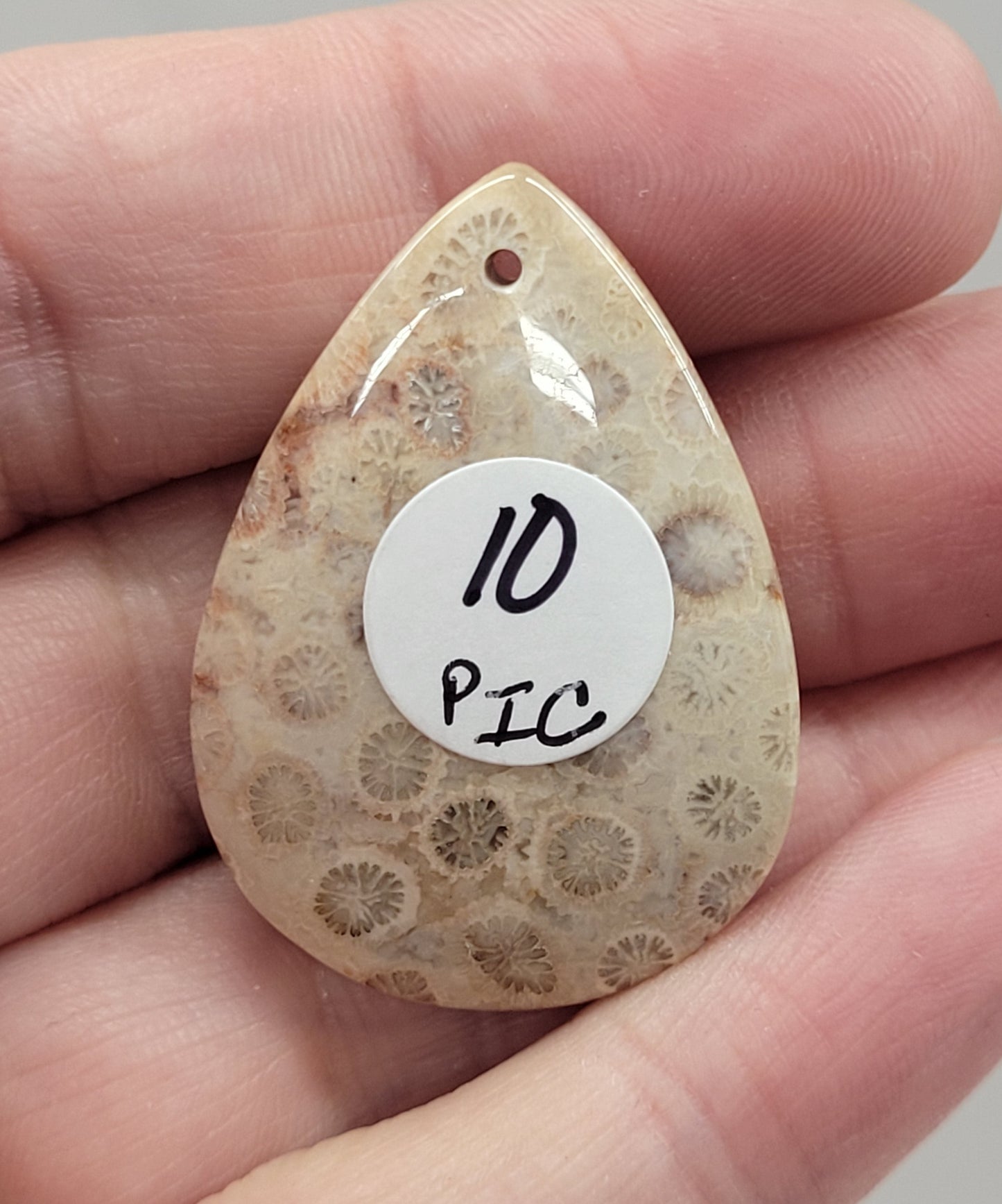 Fossil Coral Jasper pendant