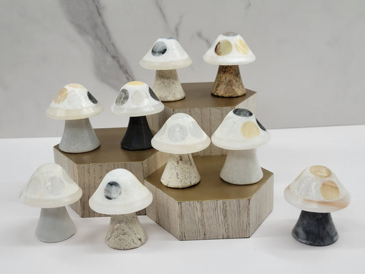 Mexican Onyx mushroom