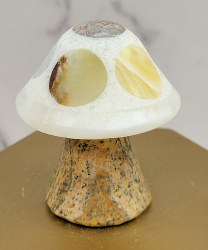 Mexican Onyx mushroom