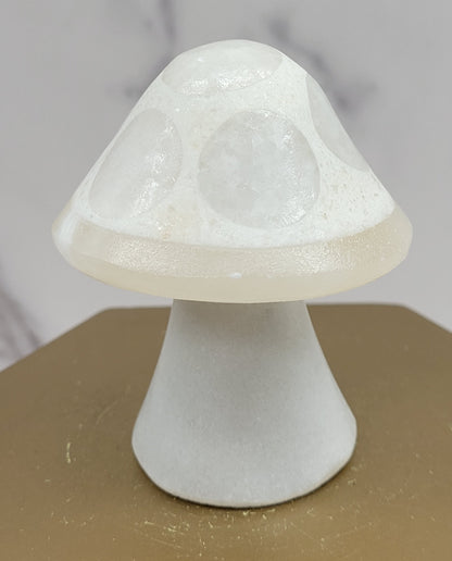 Mexican Onyx mushroom