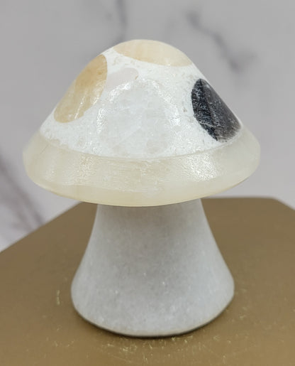 Mexican Onyx mushroom