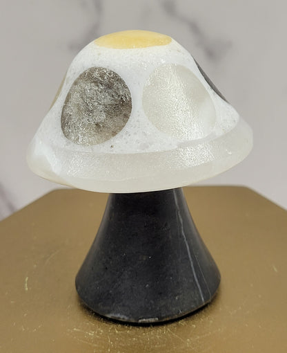 Mexican Onyx mushroom