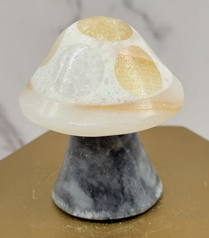 Mexican Onyx mushroom