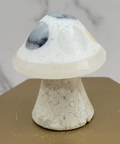 Mexican Onyx mushroom