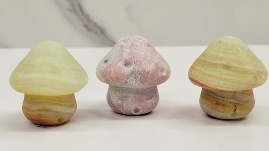 Sleepy mushroom carving