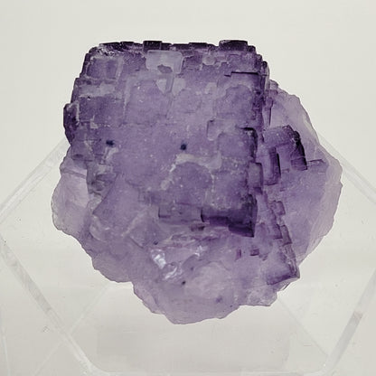 Purple Stepped Fluorite specimen