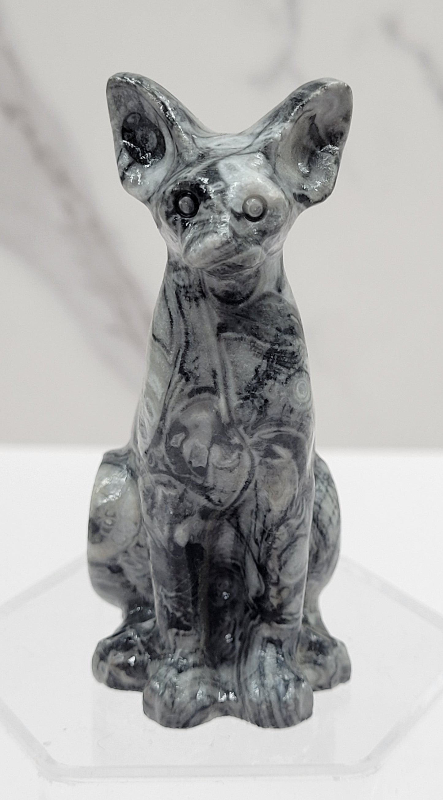 Egyptian Cat (Mau cat) (medium)