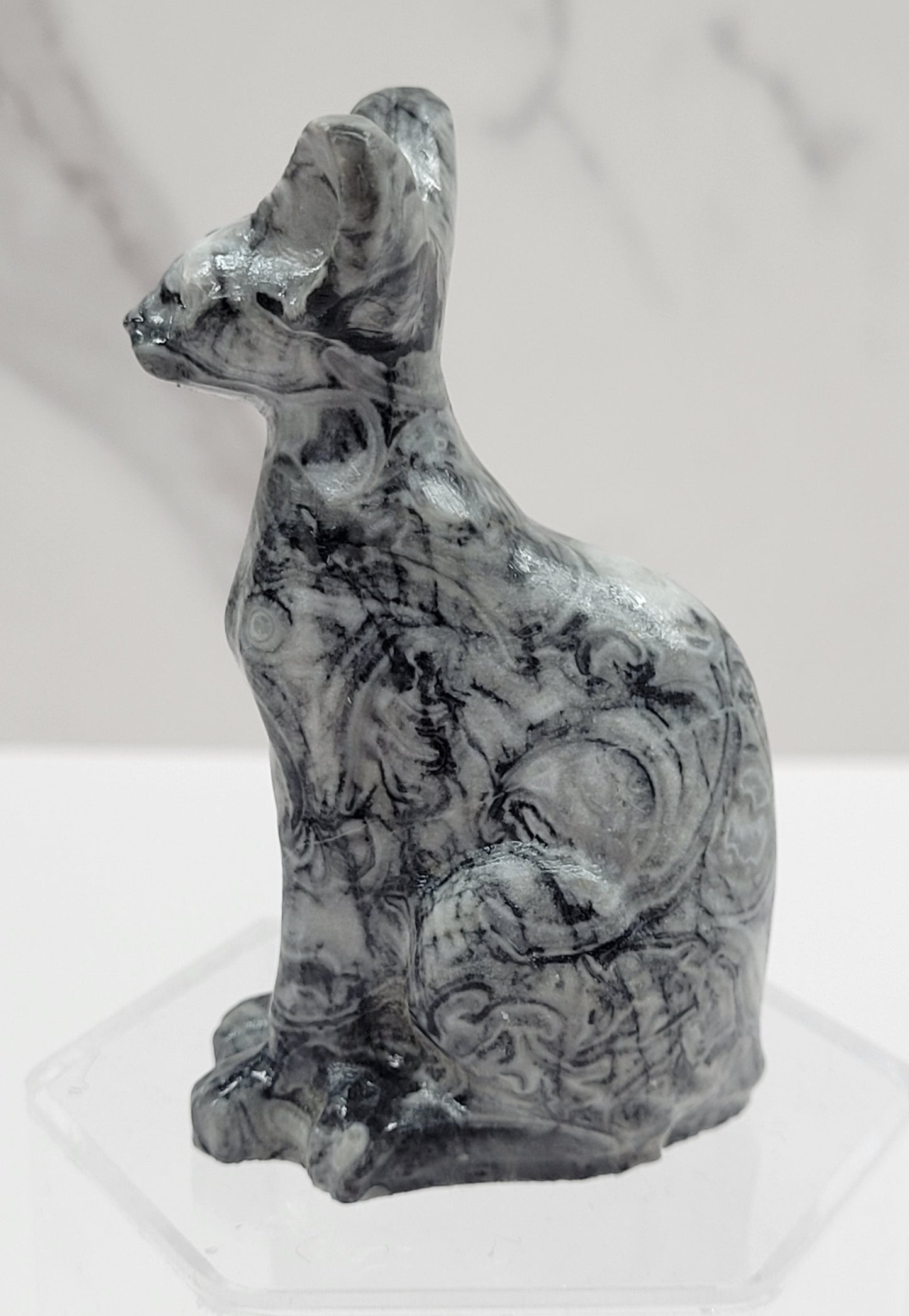 Egyptian Cat (Mau cat) (medium)
