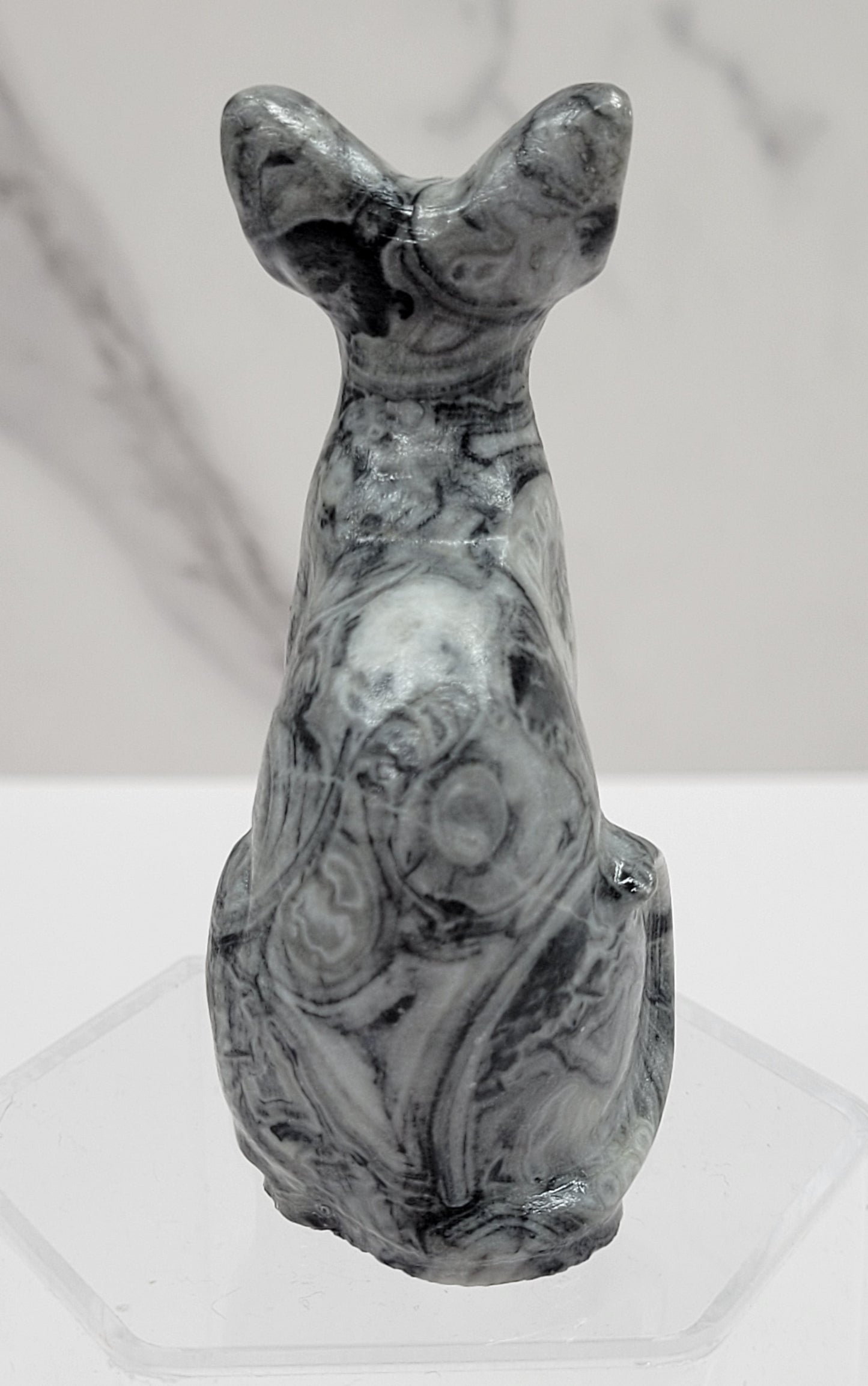 Egyptian Cat (Mau cat) (medium)
