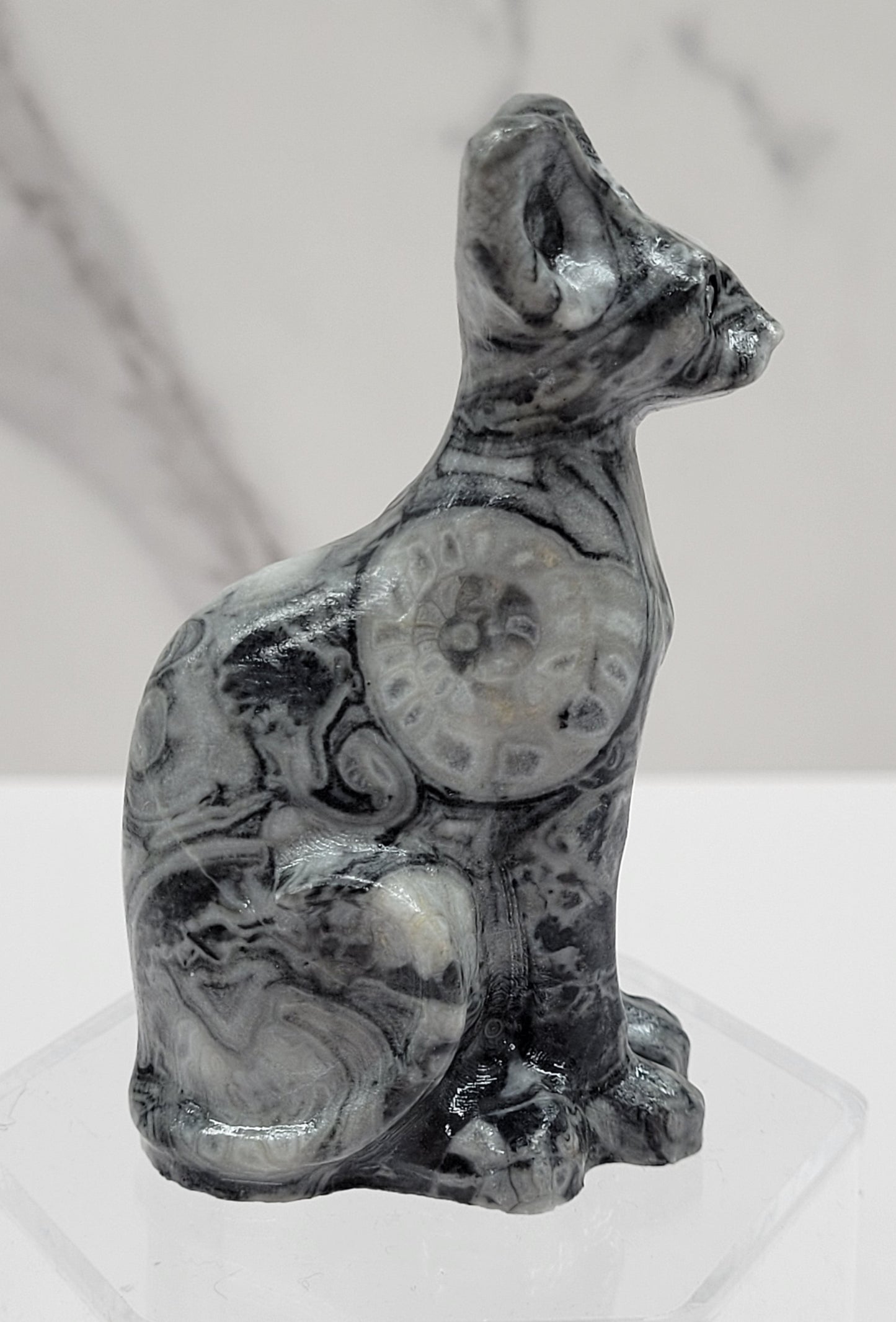 Egyptian Cat (Mau cat) (medium)