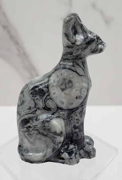 Egyptian Cat (Mau cat) (medium)