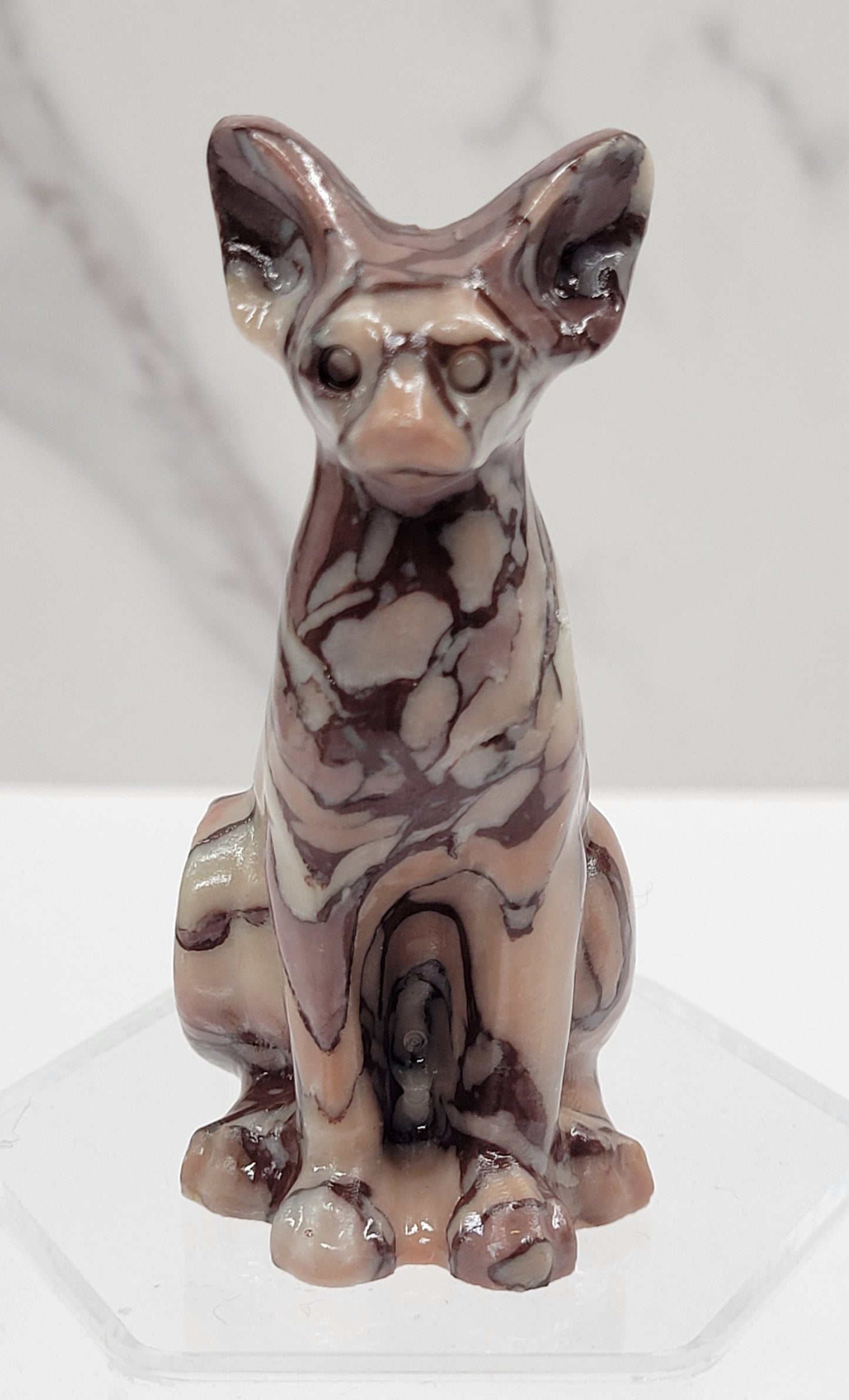 Egyptian Cat (Mau cat) (medium)