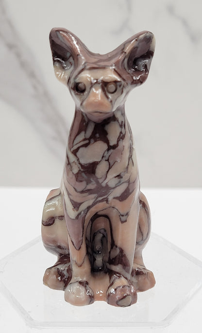 Egyptian Cat (Mau cat) (medium)