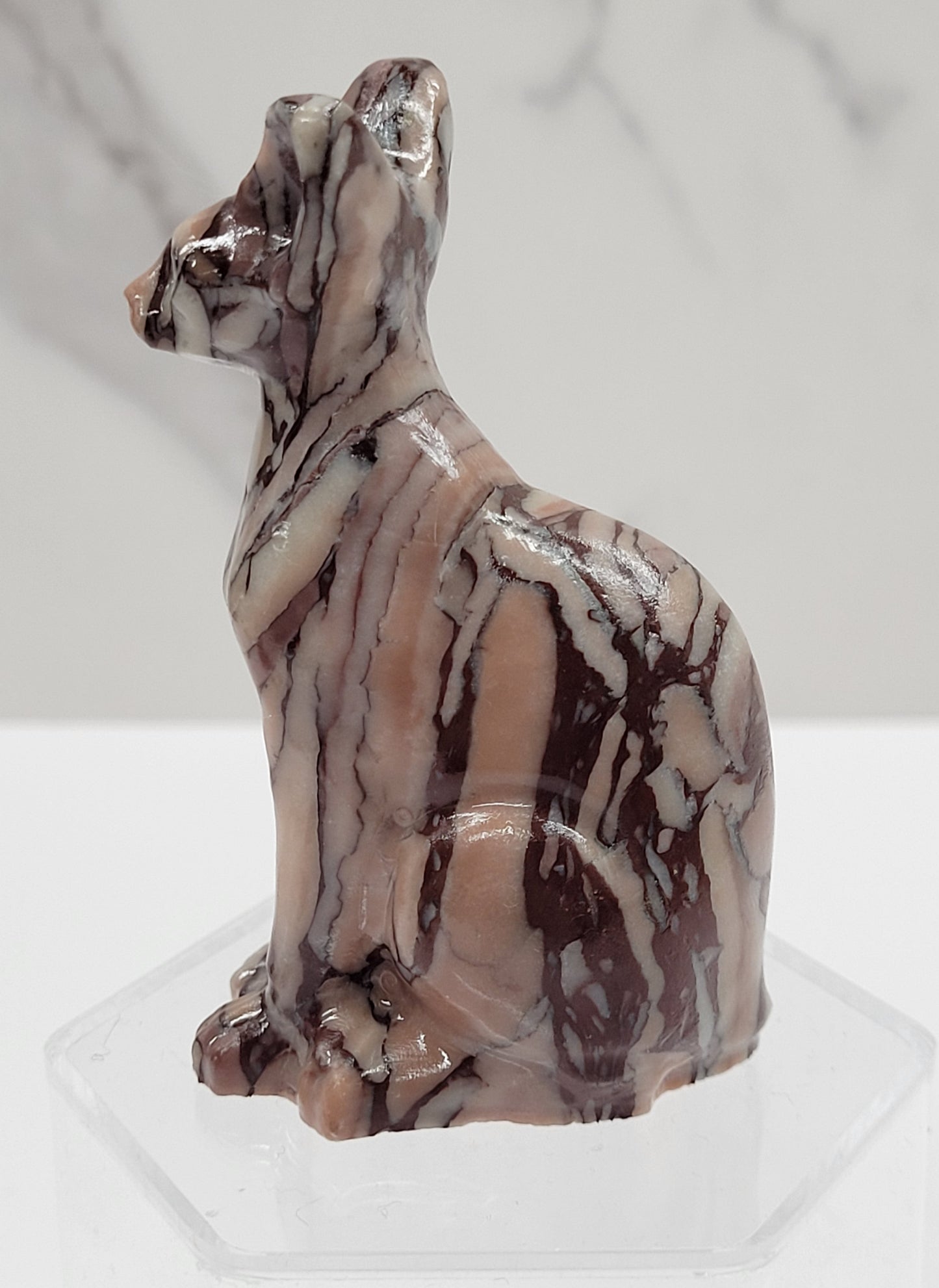 Egyptian Cat (Mau cat) (medium)