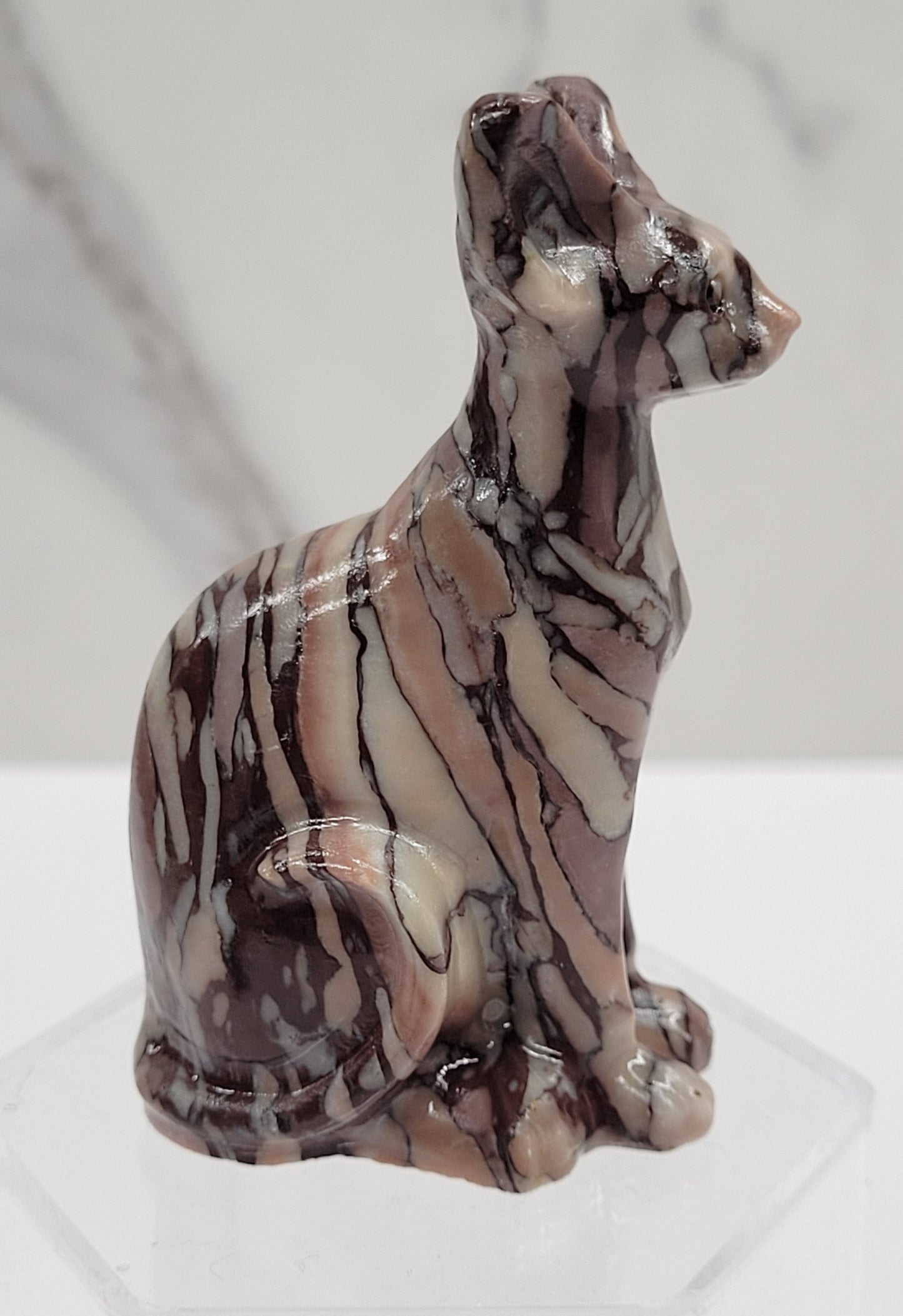 Egyptian Cat (Mau cat) (medium)