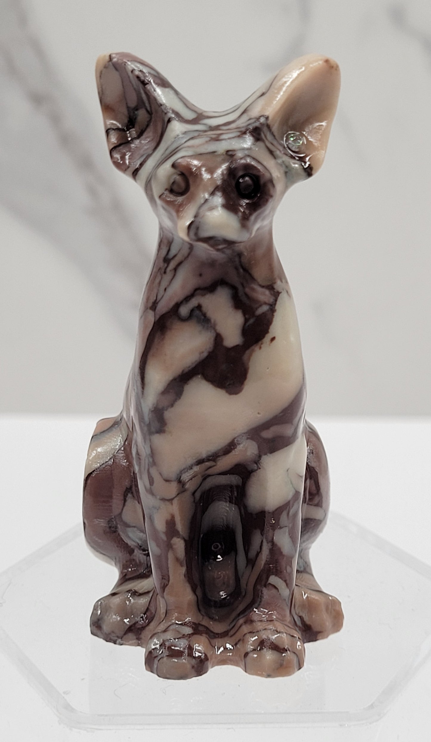 Egyptian Cat (Mau cat) (medium)