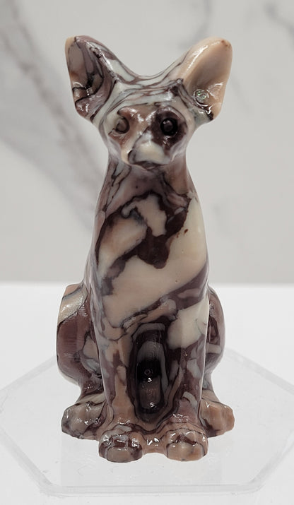 Egyptian Cat (Mau cat) (medium)
