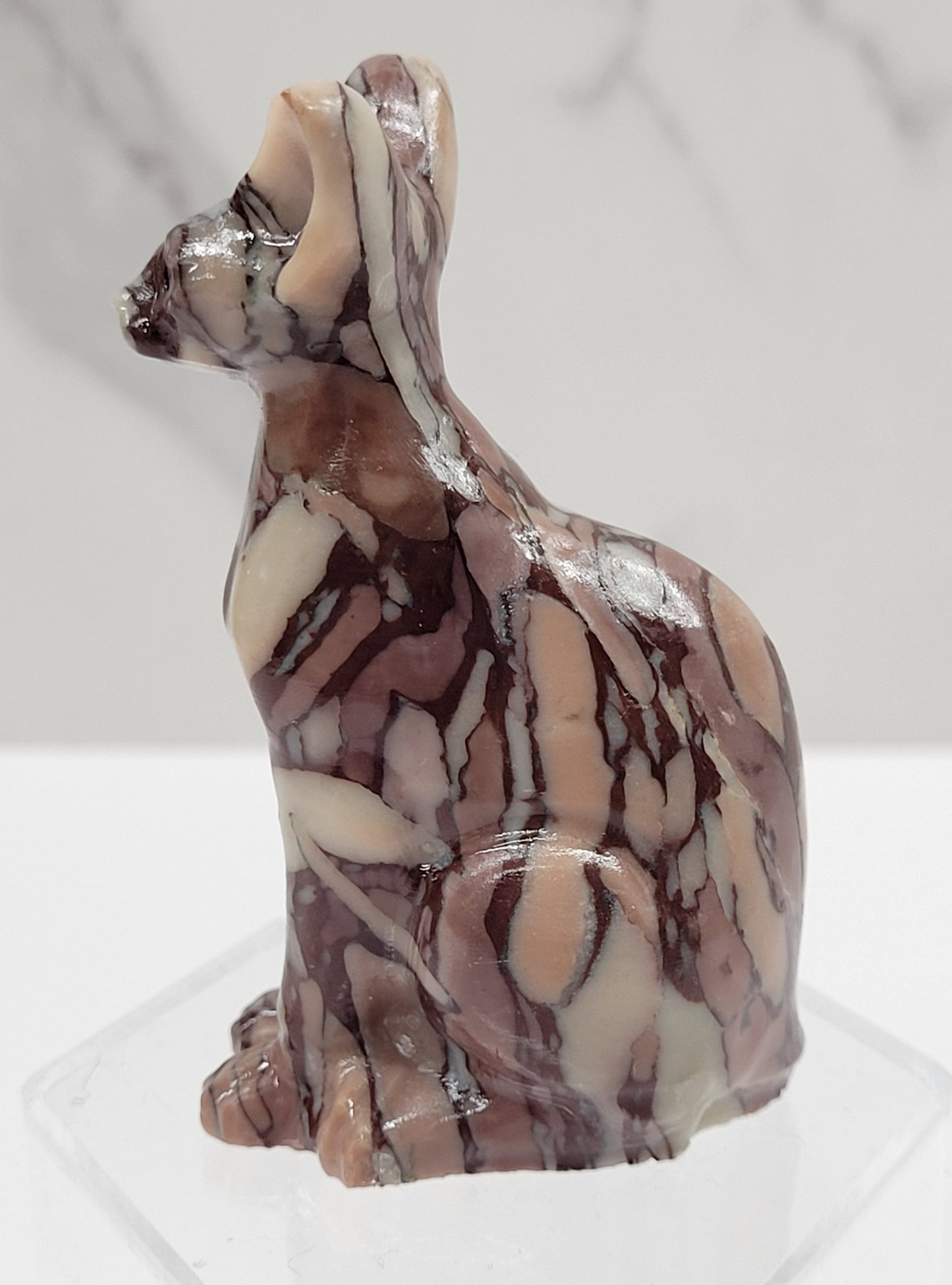 Egyptian Cat (Mau cat) (medium)