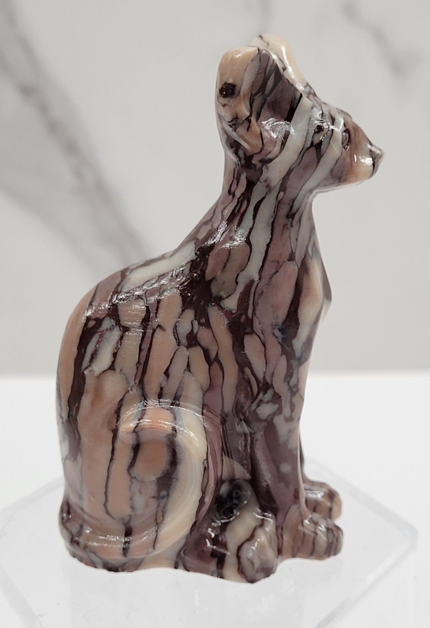 Egyptian Cat (Mau cat) (medium)