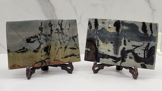 Picture Jasper book
