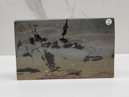 Picture Jasper book