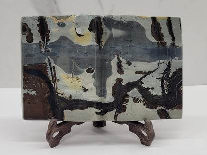 Picture Jasper book