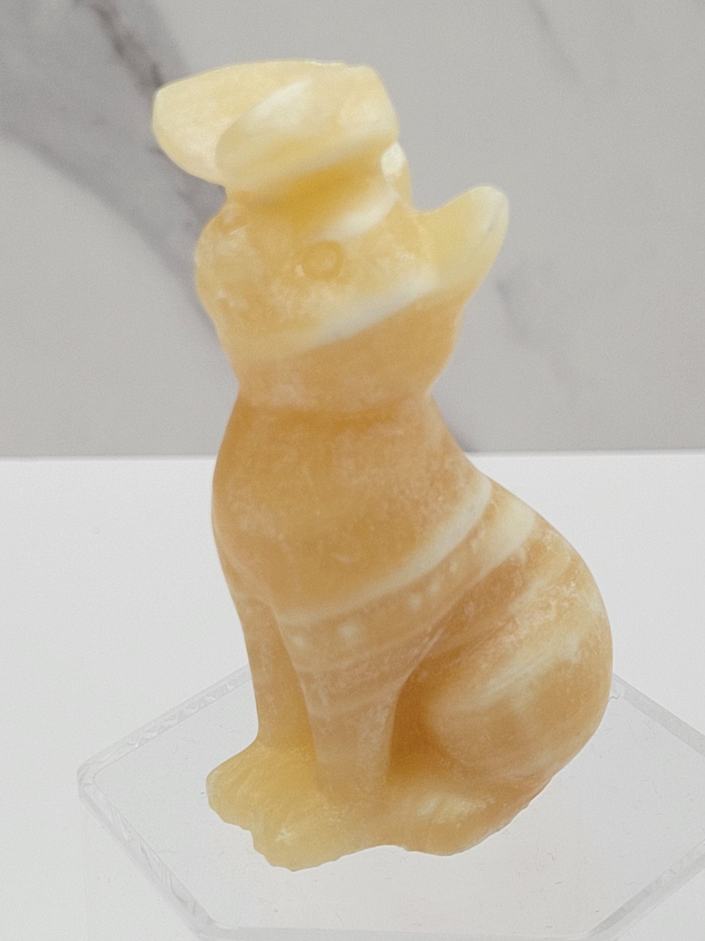 Cat/kitty carving - butterfly on nose (L)