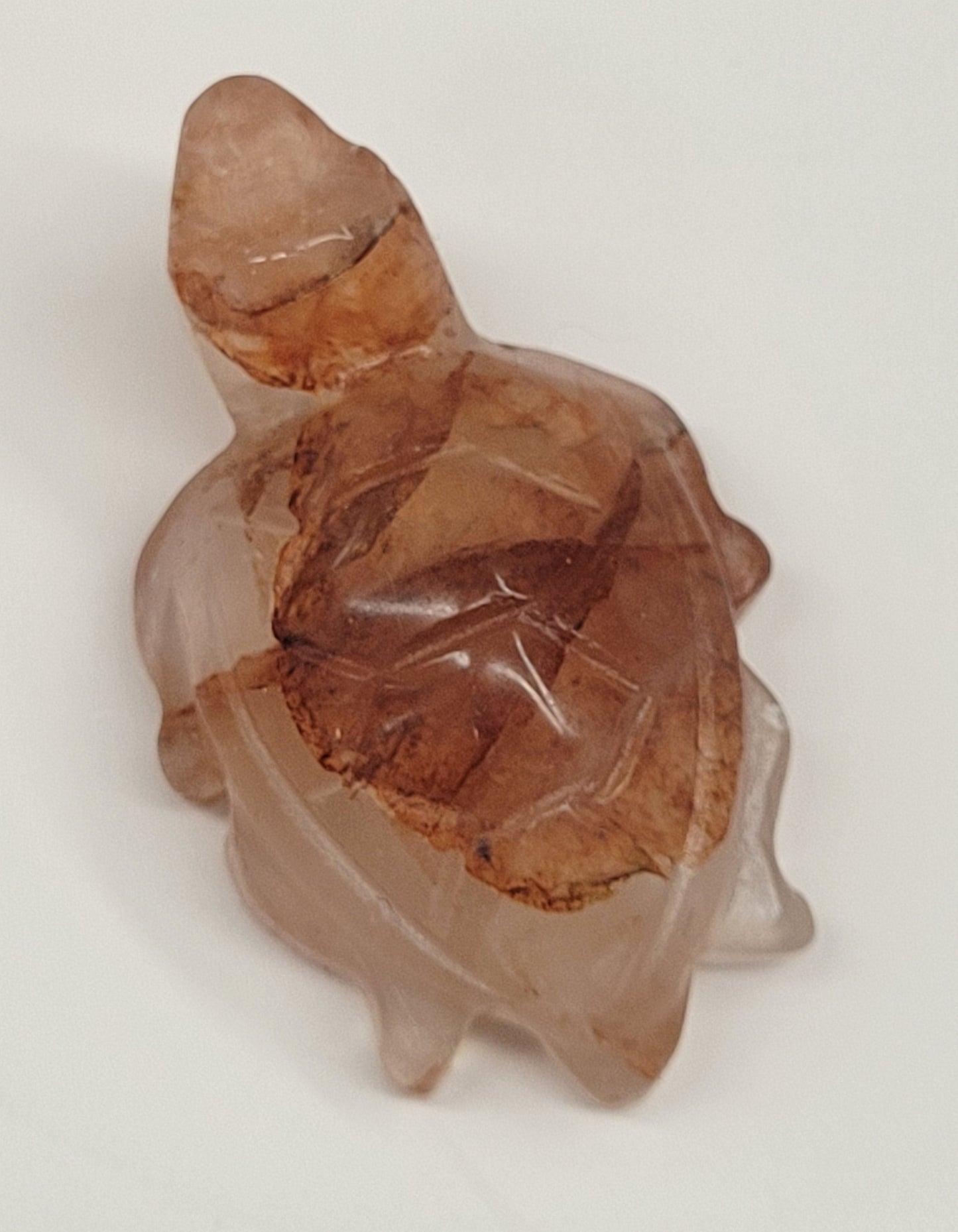 Sea Turtle - Fire Quartz (S & M)