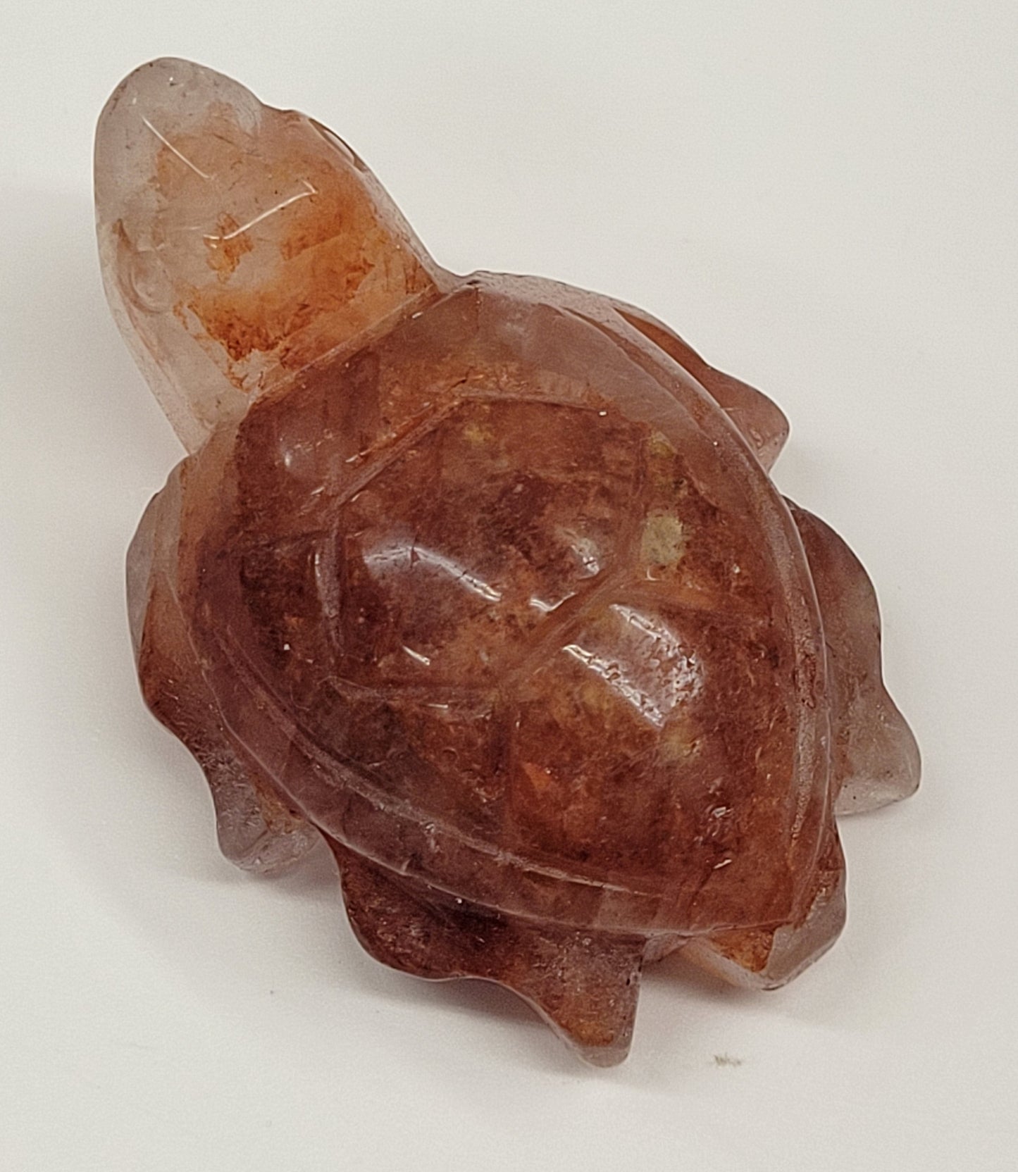 Sea Turtle - Fire Quartz (S & M)