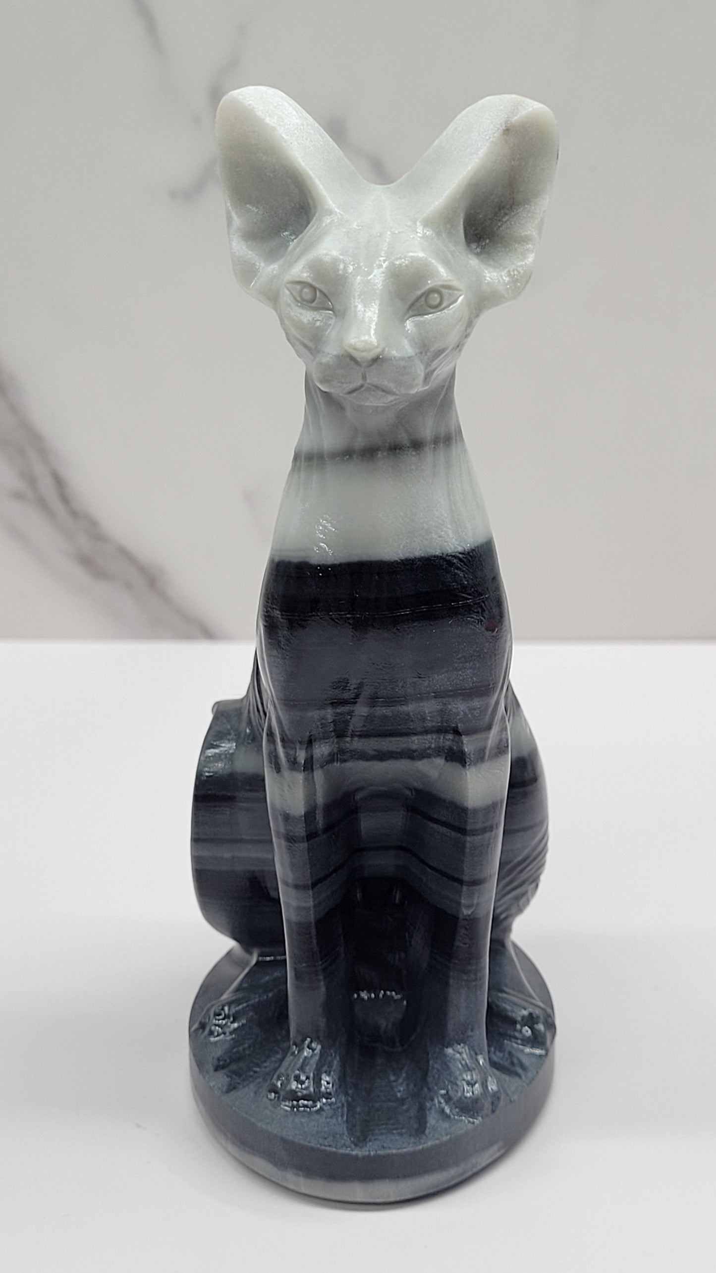 Egyptian Cat (Mau cat) (large)
