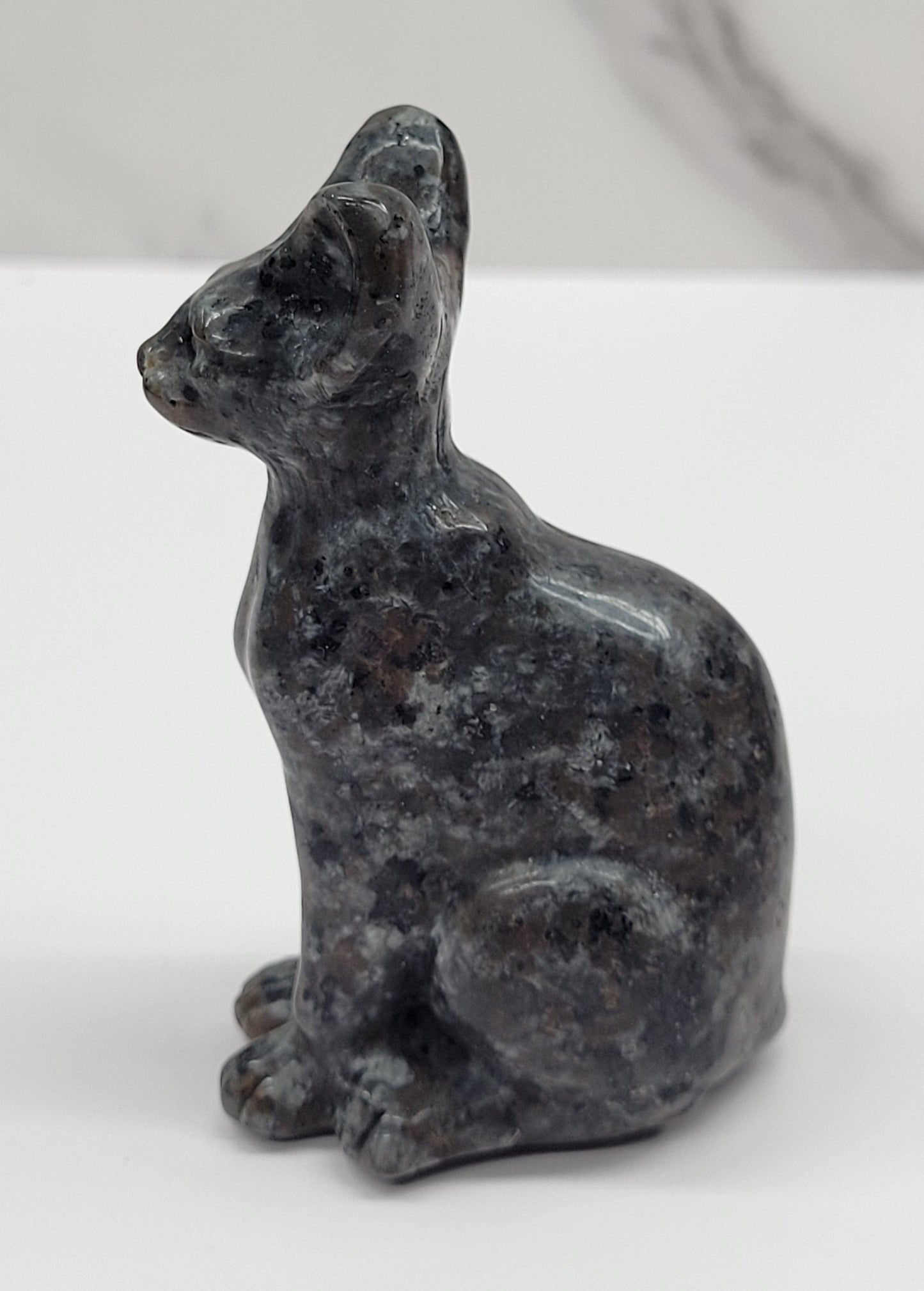 Egyptian Cat (Mau cat) (medium)