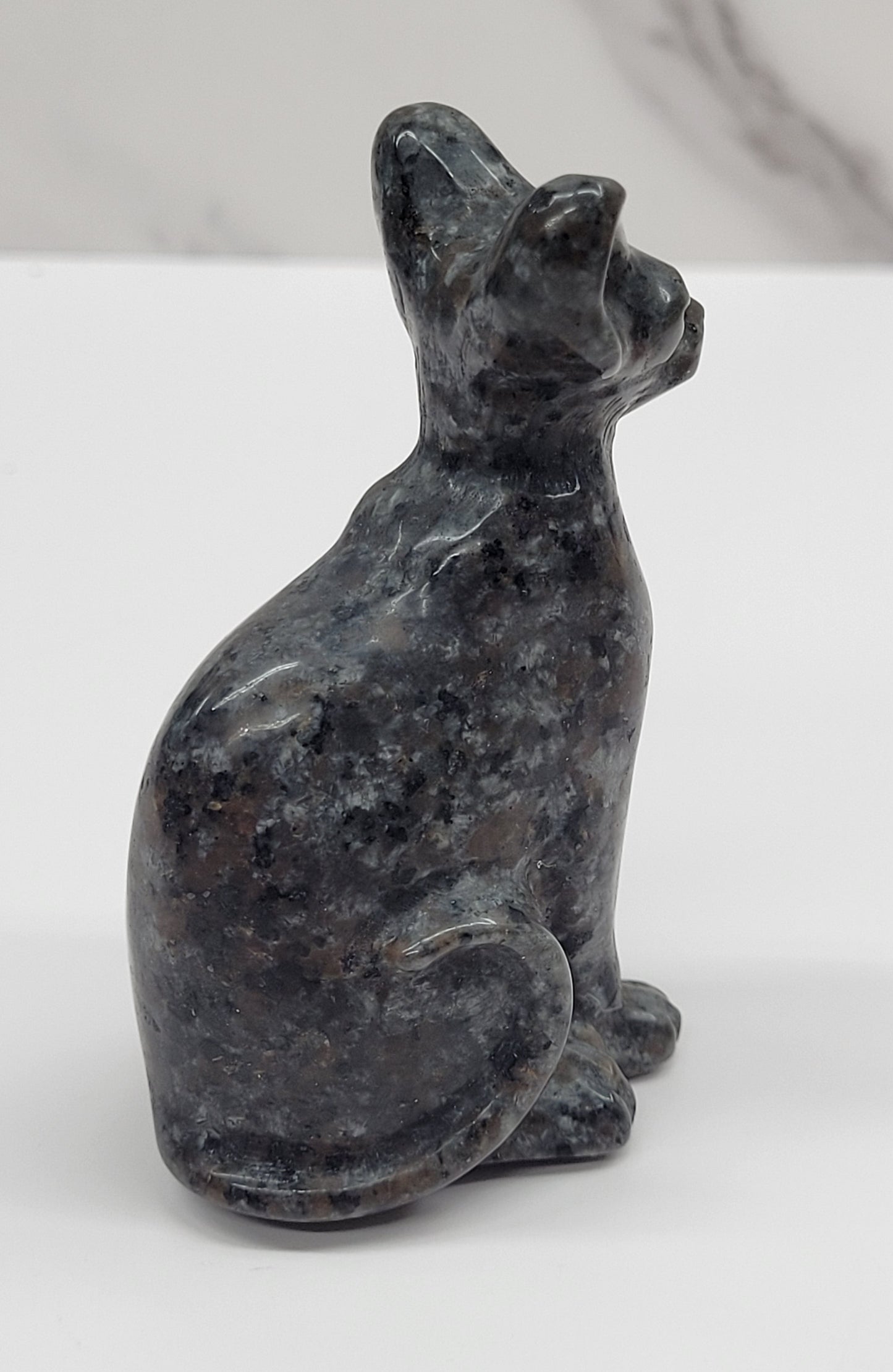 Egyptian Cat (Mau cat) (medium)