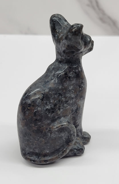 Egyptian Cat (Mau cat) (medium)