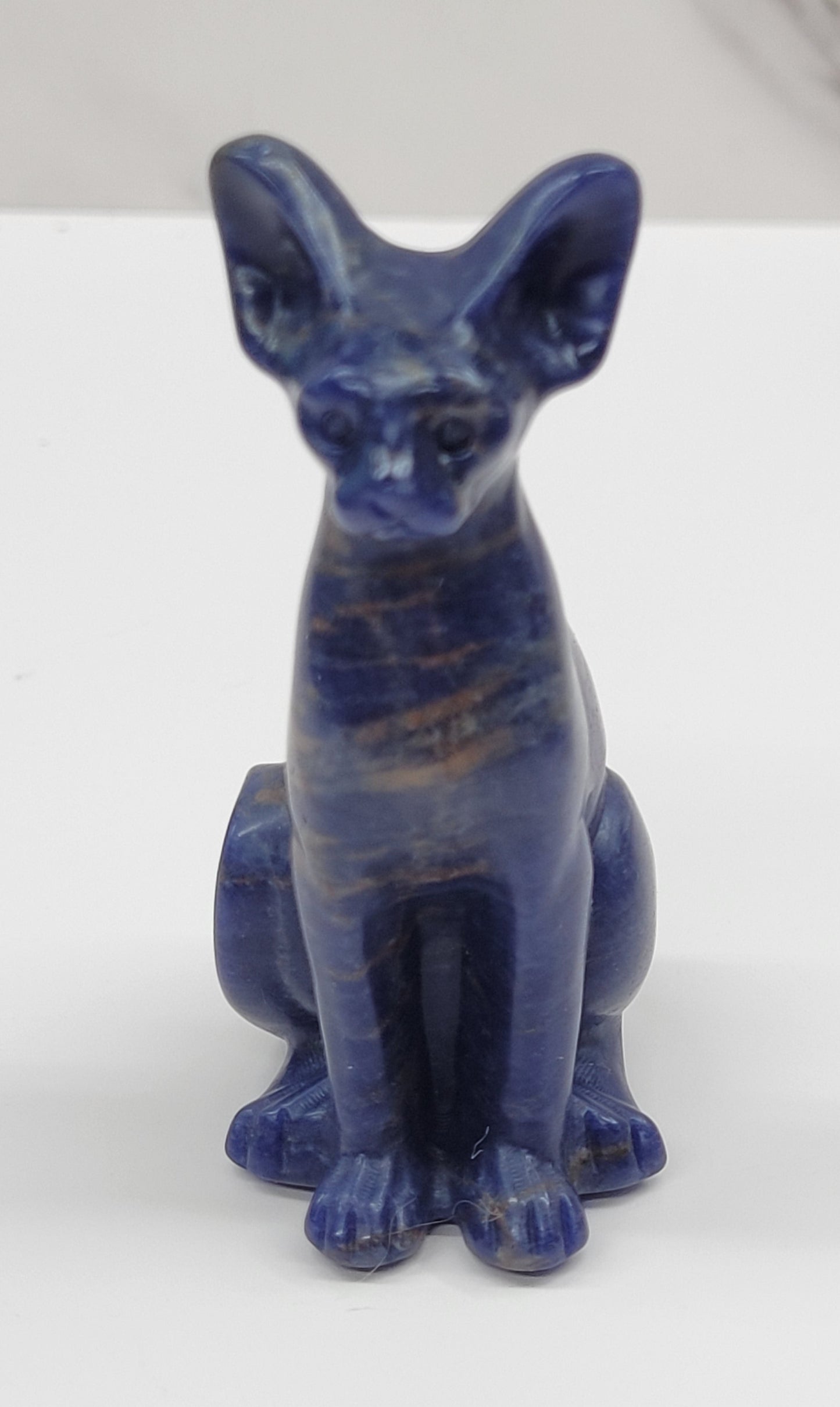 Egyptian Cat (Mau cat) (medium)