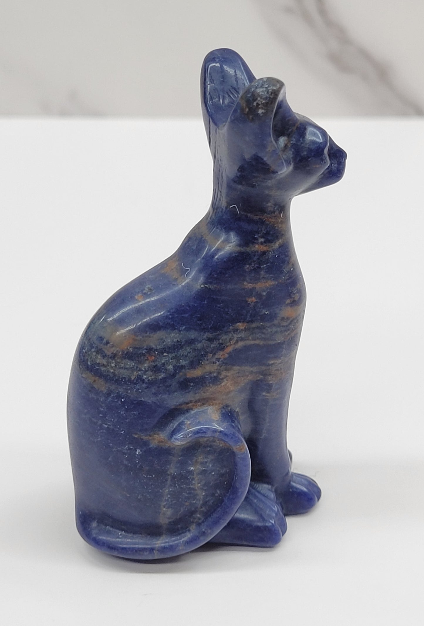 Egyptian Cat (Mau cat) (medium)