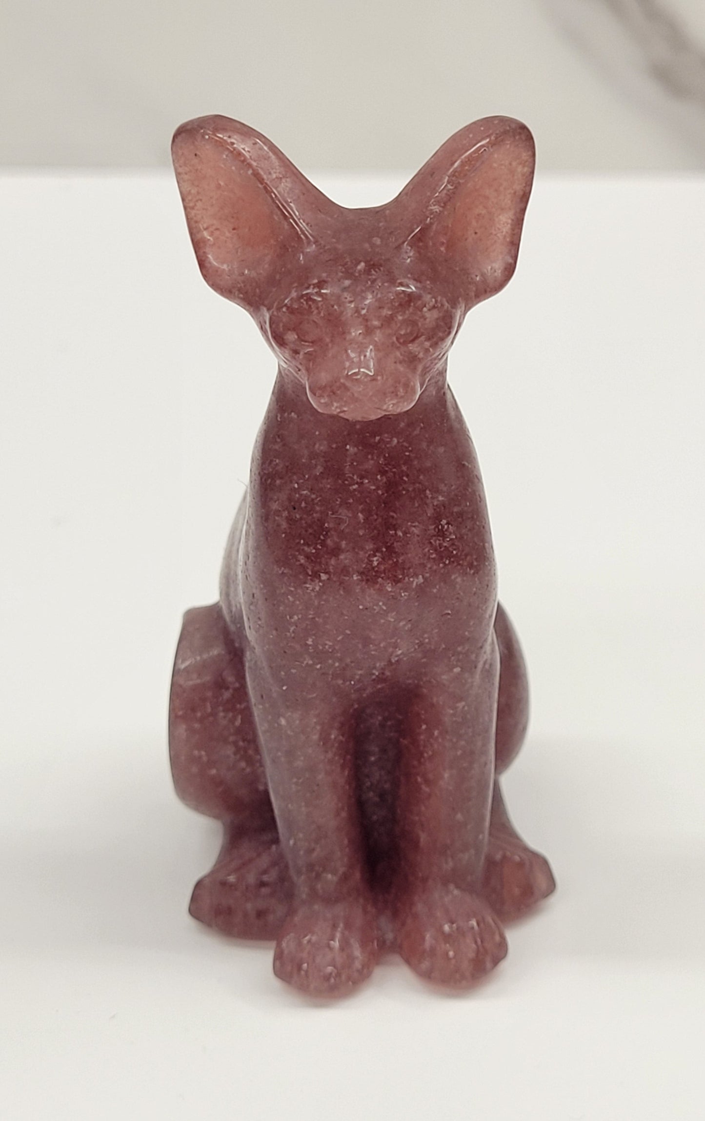 Egyptian Cat (Mau cat) (medium)