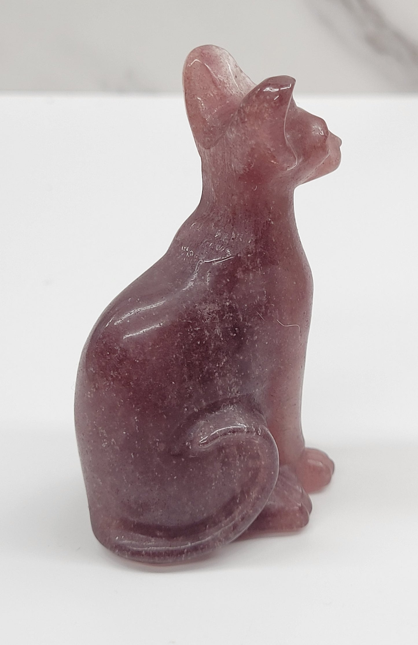Egyptian Cat (Mau cat) (medium)
