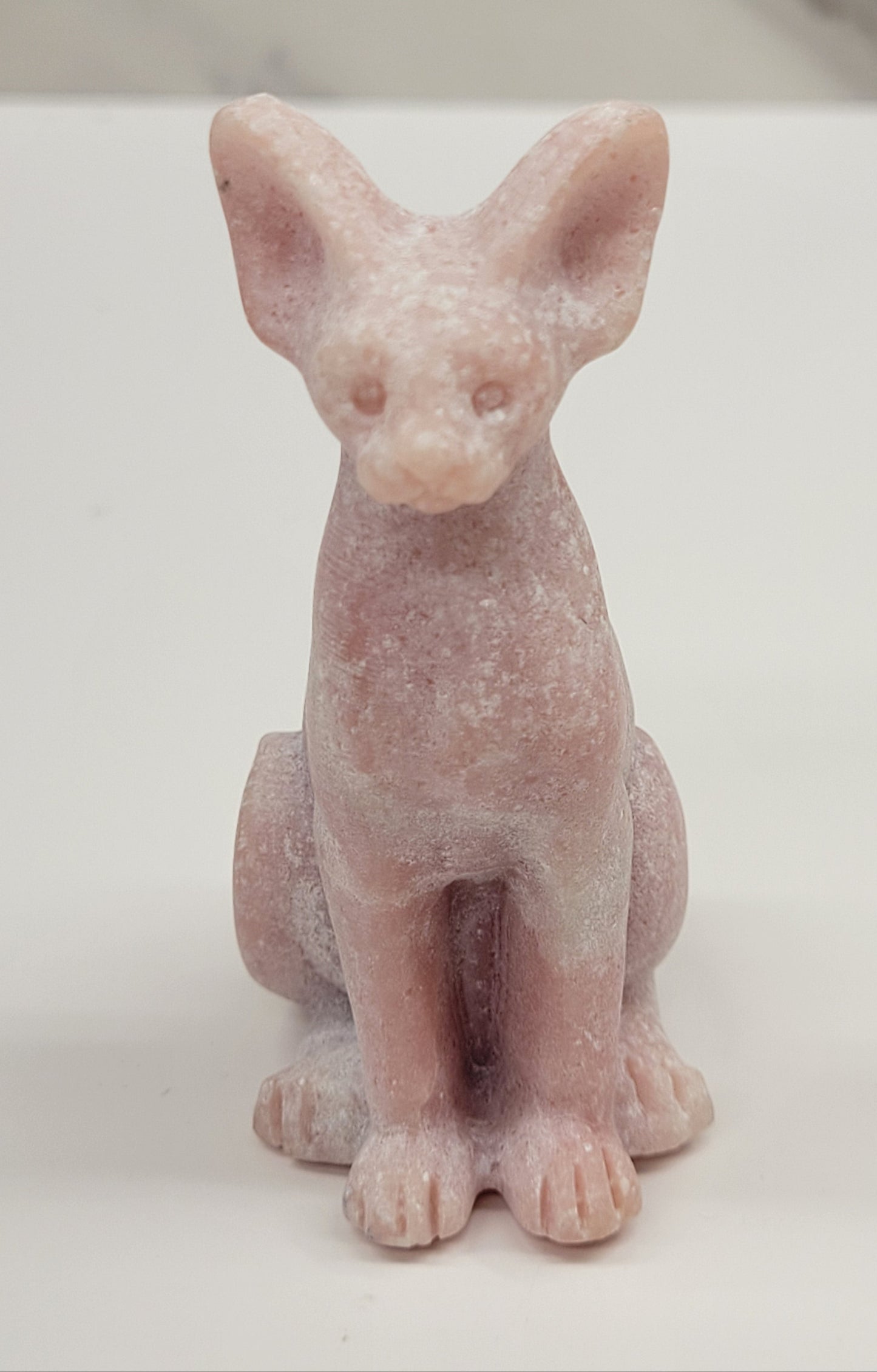 Egyptian Cat (Mau cat) (medium)