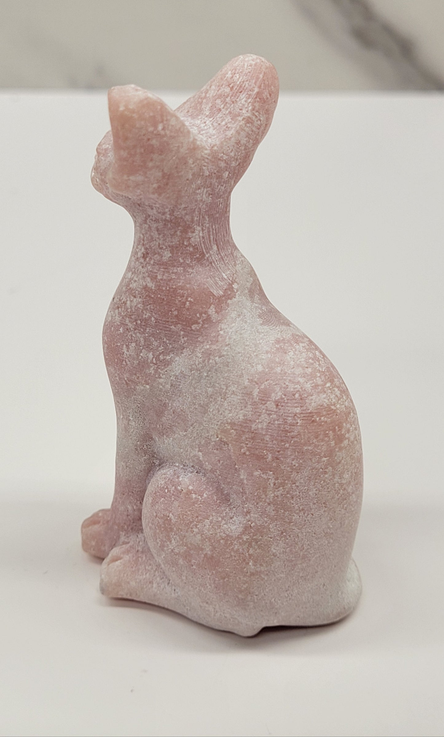 Egyptian Cat (Mau cat) (medium)