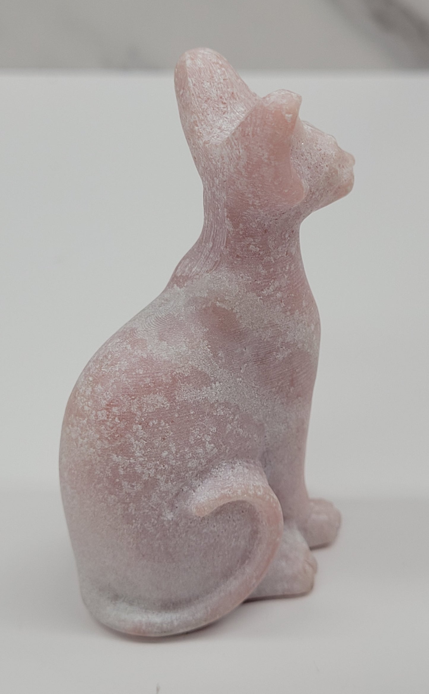Egyptian Cat (Mau cat) (medium)
