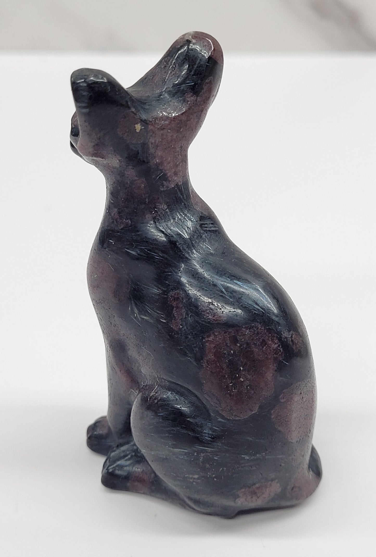 Egyptian Cat (Mau cat) (medium)