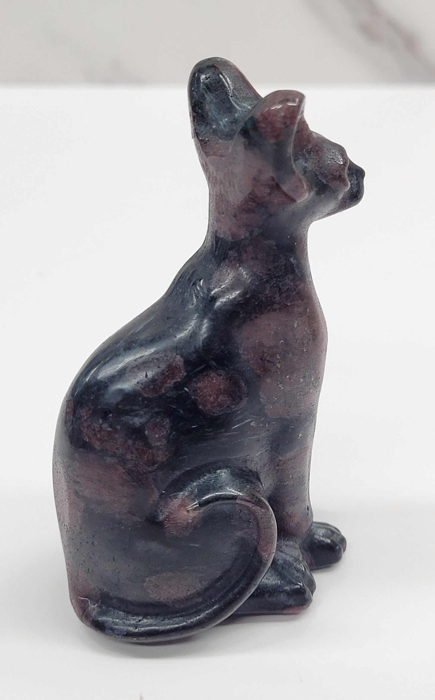 Egyptian Cat (Mau cat) (medium)
